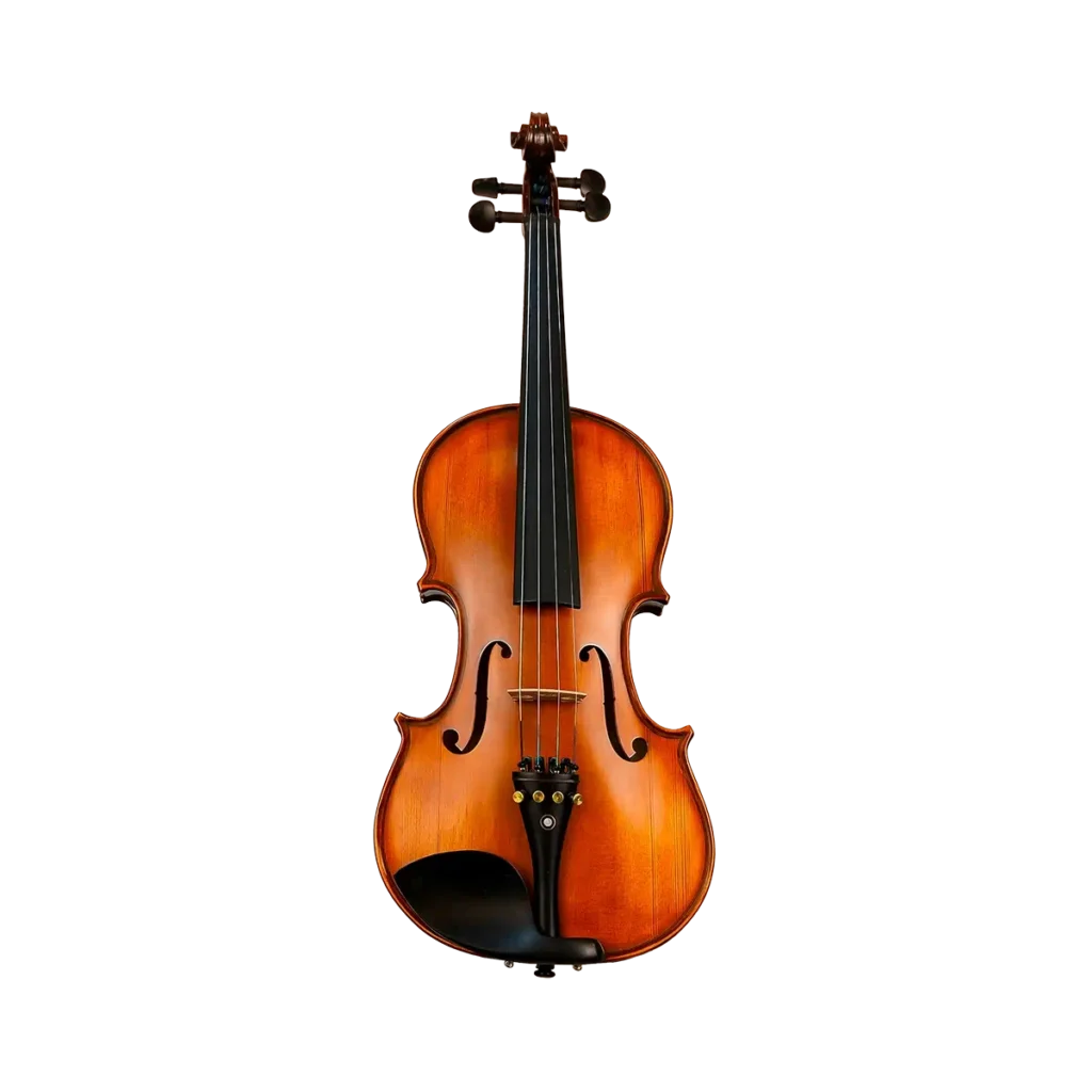 ویولن TF-142 (تی اف مدل 142) سایز 4/4